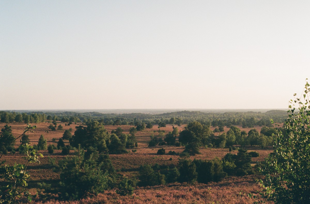 Lüneburger Heide