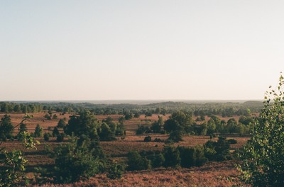 Lüneburger Heide